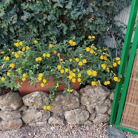 Apartamento La Casetta Di San Leonardo I.u.n. Q3924