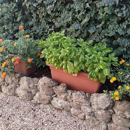 Apartamento La Casetta Di San Leonardo I.u.n. Q3924 Bari Sardo